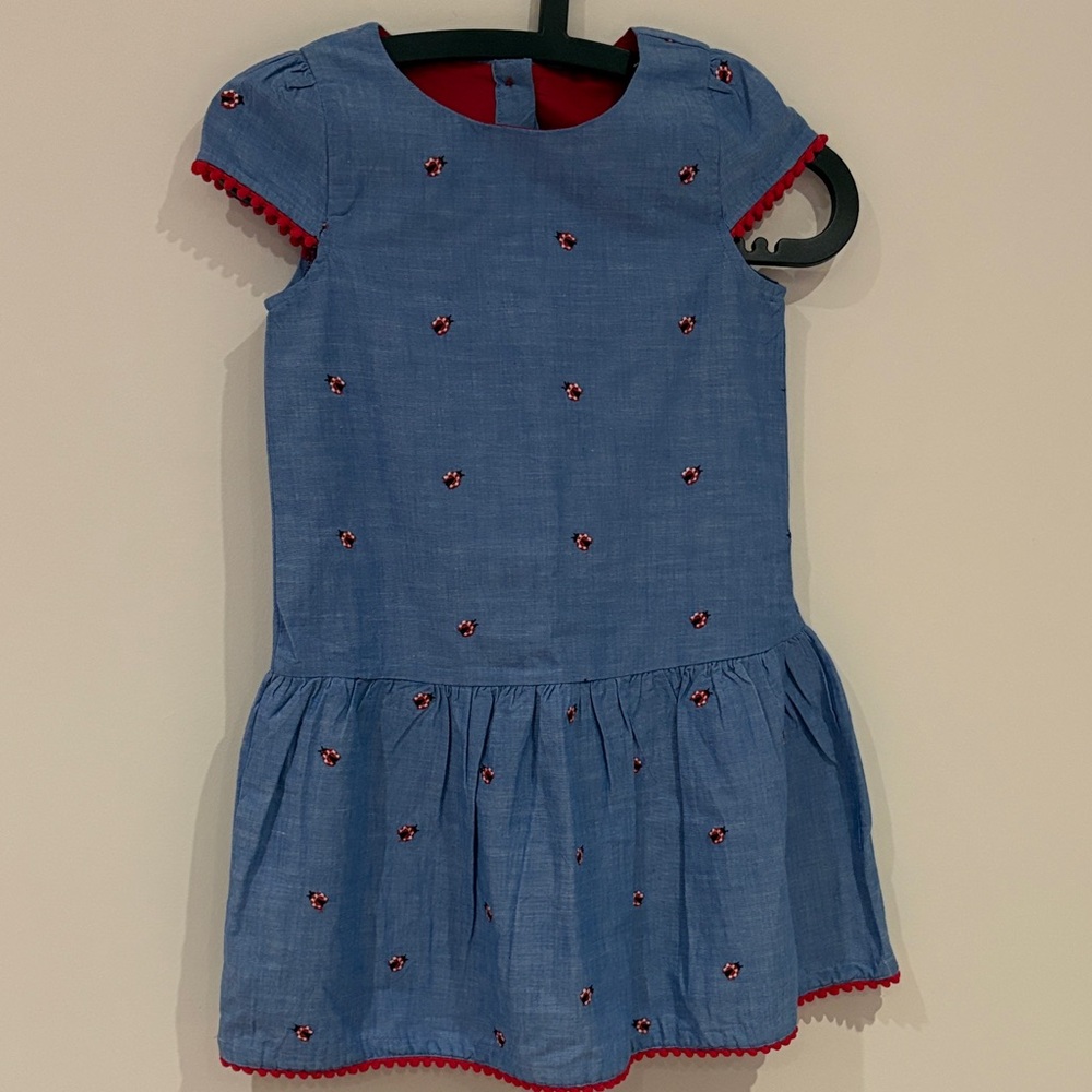 Blue Kids Dress with Red Accents Ladybug themed